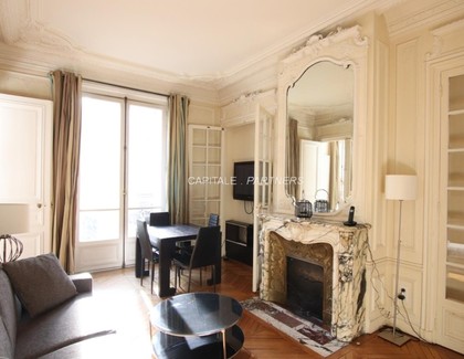 furnished  1 bedroom Apartment PARIS 8