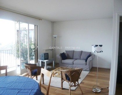 furnished  1 bedroom Apartment PARIS 13